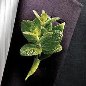 Boutonniere a kezüket rostanyagok és a gyűjtemény inspirációt