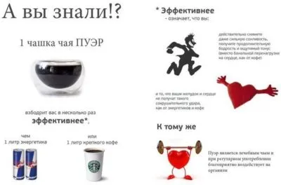 Puer tea hatása, visszajelzés, hogy lehetséges-e, hogy lefogy, hogyan kell főzni