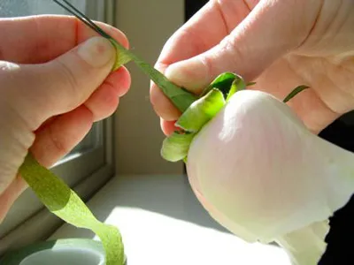 Boutonniere a kezüket rostanyagok és a gyűjtemény inspirációt