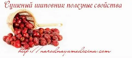 Dogrose tea recept, és használja a blog Alena Kravchenko (használat) Dogrose tea recept, és használja a blog Alena Kravchenko