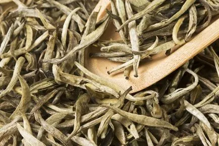 Tea ábécé, vagy hogyan kell kiválasztani a kiváló minőségű tea, csak ott (is) Tea ábécé, vagy hogyan kell kiválasztani a kiváló minőségű tea, csak enni