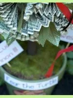 Birch топчета