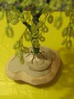 Birch топчета