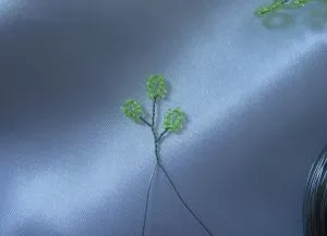 Birch топчета