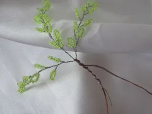 Birch топчета