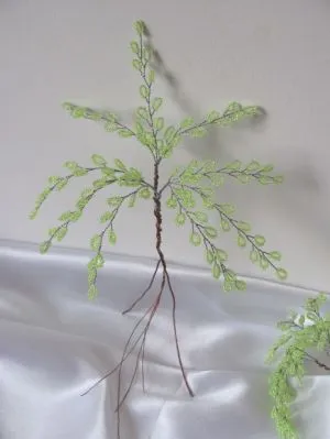 Birch топчета
