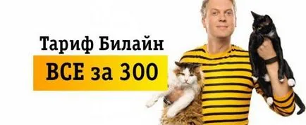 Beeline, скоростта на всички 300 рецензии, описания, свързване (мнения) Beeline, скоростта на всичките 300 мнения, описания, връзка