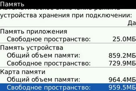 Blackberry Bold 9000 за тази Бери