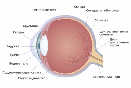 Късогледство причини, симптоми, лечение, превенция