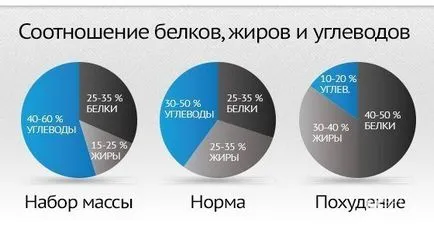 Bzhu за отслабване онлайн калкулатор как да се изчисли съотношението, балансът