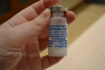 Мускулно цефтриаксон - как да се размножават (интрамускулно) Мускулно цефтриаксон - как да се размножават