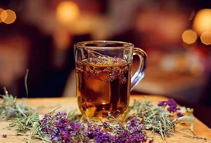 Мащерка, полезните свойства и противопоказания, въздействието върху организма на жените и мъжете