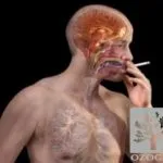 Цигарите могат да бъдат заменени, когато затворете ozozh пушене (цигари) Цигарите могат да се сменят, когато затворете ozozh пушене