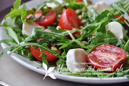 Колко полезна рукола и вкусни рецепти на неговото прилагане