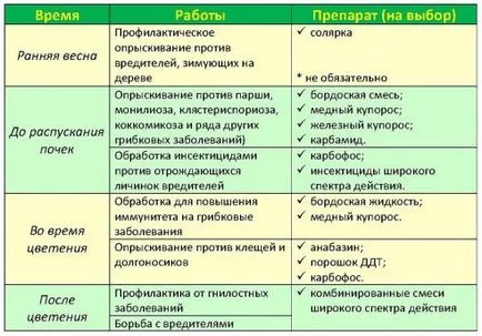 Как да се оплодят, лечение и фуражи череши (череши) Как да се оплодят, лечение и фуражи черешката