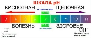 Това, което прави жлъчка, здраве нанотехнологиите възстановяване без лекарства