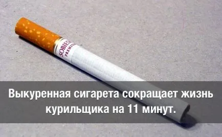 Това ще се случи, ако дима на цигарата (цигара) Какво ще се случи, ако дим една цигара