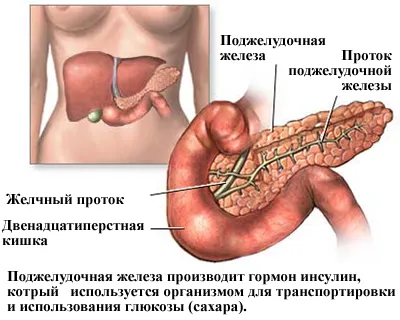 Каква е тази болест