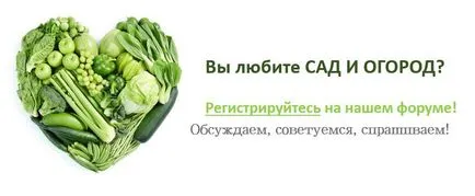 Това, което не е твърде късно да растителна
