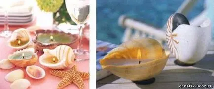 Какво може да се направи на миди