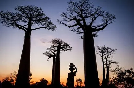 Това, което хората носят на главите си, забавления портал