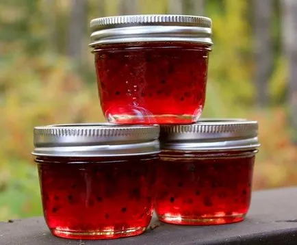 Какво необичайно може да се направи от цариградско грозде, вкусни рецепти (цариградско грозде) Какво необичайно може да се направи от цариградско грозде, вкусни рецепти