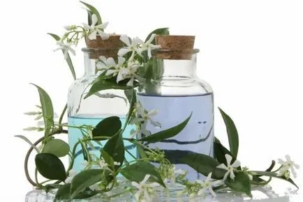 Какво котката не се бори с тапети и мебели съвети ветеринар