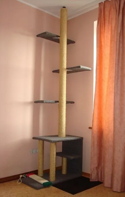 Какво котката не се бори Мебели (ноктите изрязани котка) Какво котката не се бори с мебели