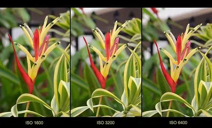 Какво е ISO на фотоапарата и как да го настроя