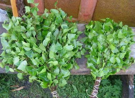 Hogyan átázott seprű Hogyan átázott seprű
