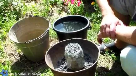 A fokhagyma tavaszi takarmány (feed) A takarmány tavaszi fokhagyma