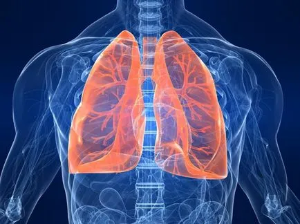 Mint kezelni bronchitis gyermekeknél