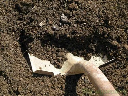 A fogantyú tavasszal a talaj kártevők és betegségek (rugó) A folyamat a talaj a tavaszi kártevőktől és betegségek