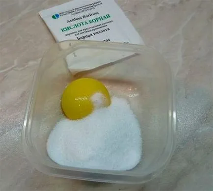 A hangya méreg otthon