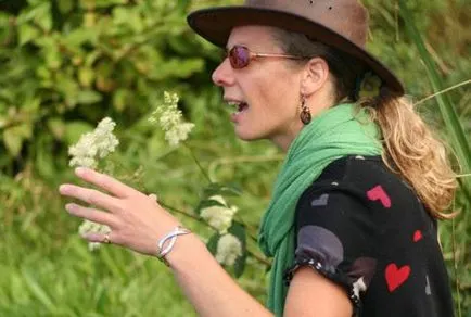Какво е най-полезните свойства на Meadowsweet Meadowsweet