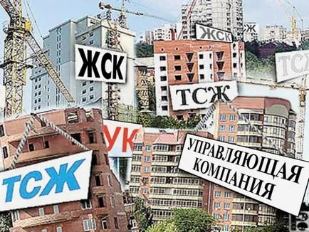 Какво е най-ТСБ, Великобритания, етажната собственост, и как те vzamodeystviya - Общество