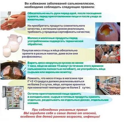Какво е салмонелоза - как се прехвърля, инкубационен период на патогена, превенция на заболяванията