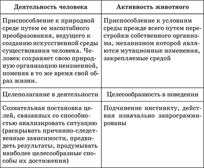 Човешките дейности, основната му форма