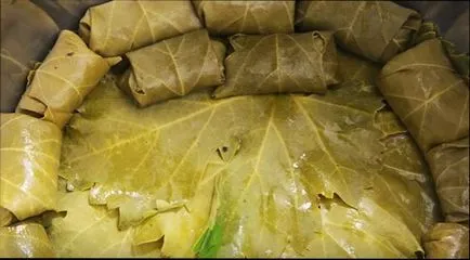Долма как да се готвя Долма лозови листа - много вкусни рецепти (грозде) Долма как да се готвя Долма лозови листа - много вкусни рецепти