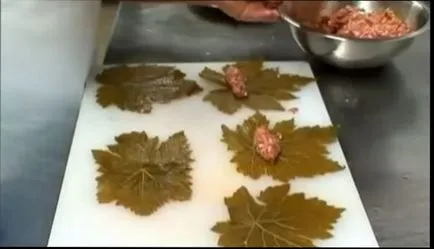 Долма как да се готвя Долма лозови листа - много вкусни рецепти (готвя) Долма как да се готвя Долма лозови листа - много вкусни рецепти