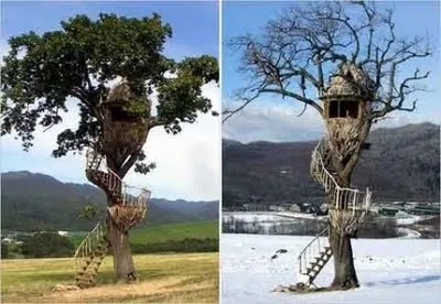 Treehouse - стари и нови идеи