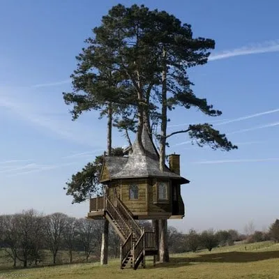 Treehouse - стари и нови идеи