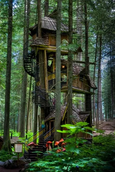 Treehouse - стари и нови идеи