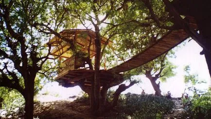 Tree къщи 252 снимка