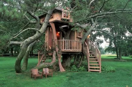 Tree House - 50 идеи, за да се превърнат в реалност