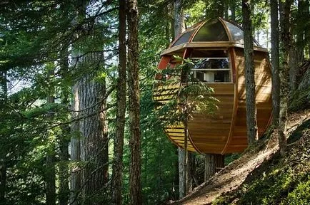 Treehouse - стари и нови идеи