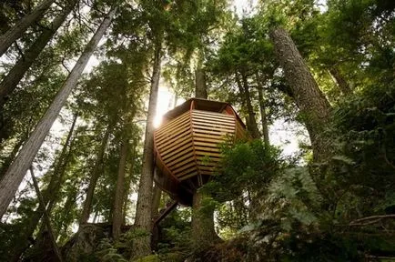 Treehouse - стари и нови идеи