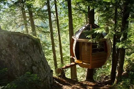 Tree House - 50 идеи, за да се превърнат в реалност