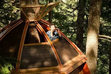 Treehouse - стари и нови идеи