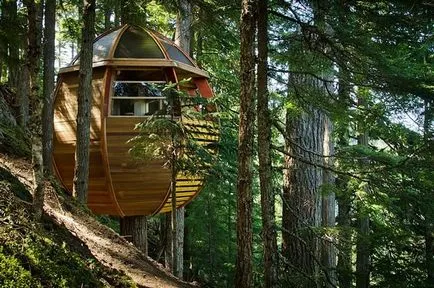 Tree House - 50 идеи, за да се превърнат в реалност